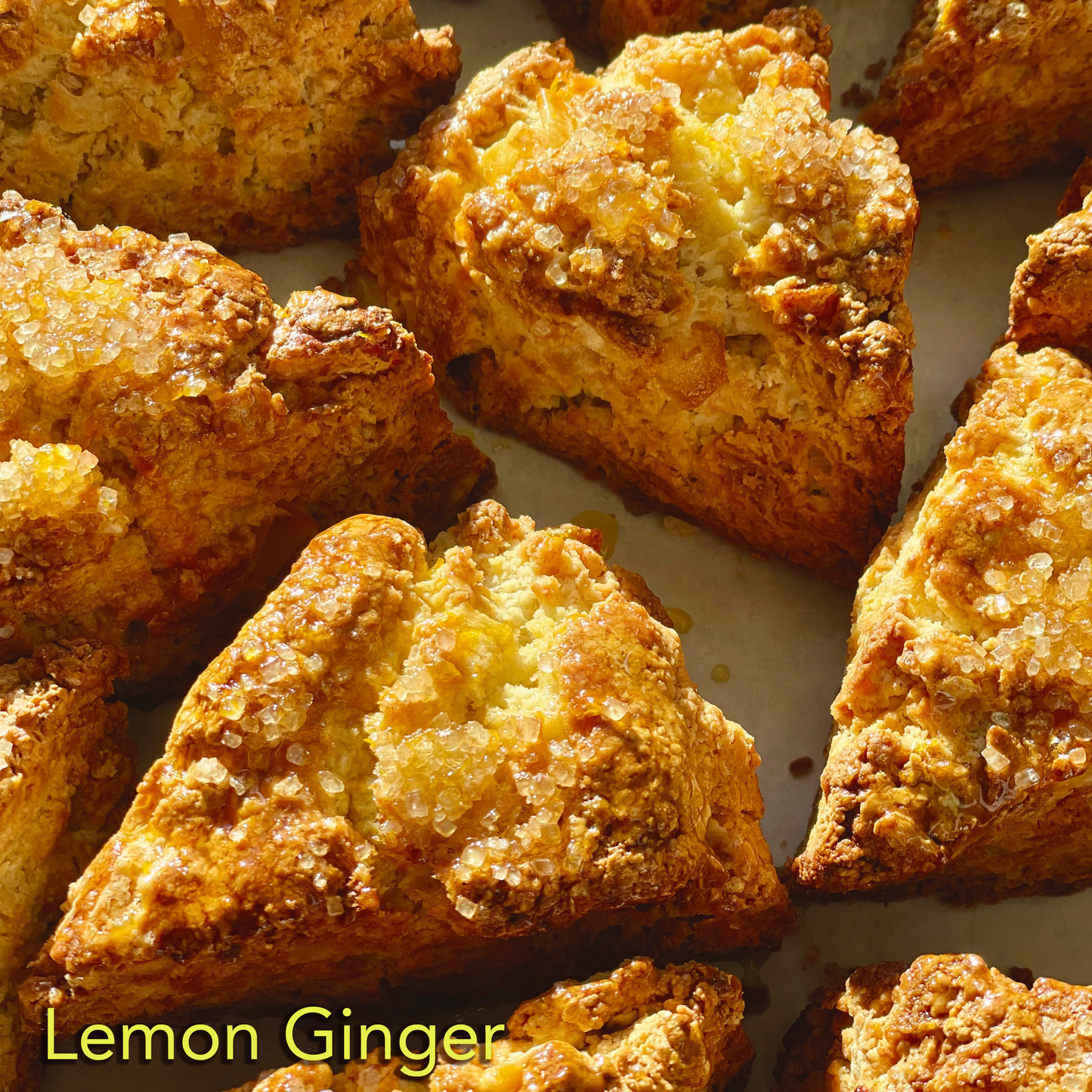 Seasonal Assorted trio (3 scones)